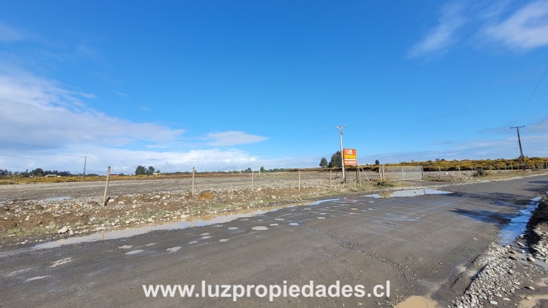 Lote n°8 de Hijuelas, sector Las Canchas - Luz Propiedades