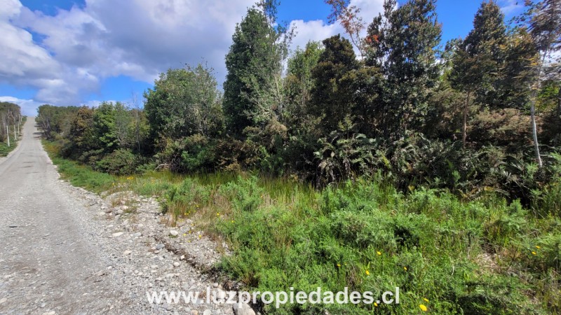 Camino Automó, Condominio Hacienda Chamiza, Parcela B1-68 - Luz Propiedades