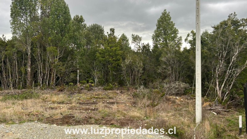 Camino Chaqueihua, Hacienda Trapen, Parcela N°177, Sector Las Quemas de Trapen - Luz Propiedades