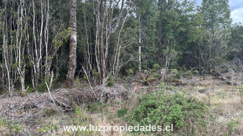 Camino Chaqueihua, Hacienda Trapen, Parcela N°177, Sector Las Quemas de Trapen - Luz Propiedades