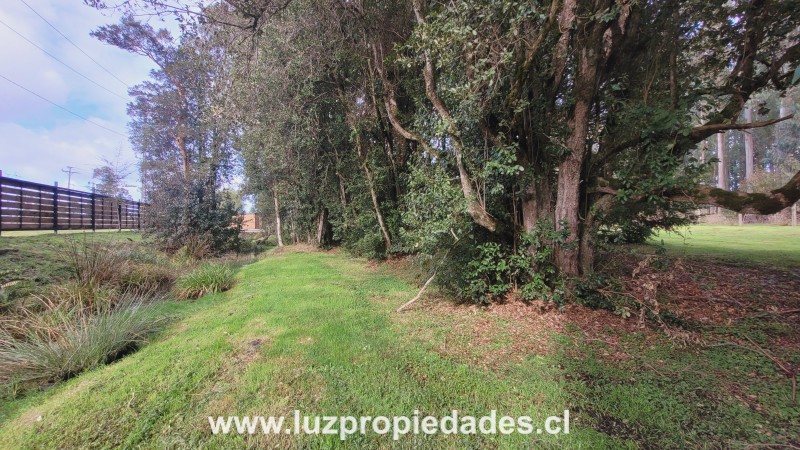 Las Quemas, sector Puyelcho - Luz Propiedades