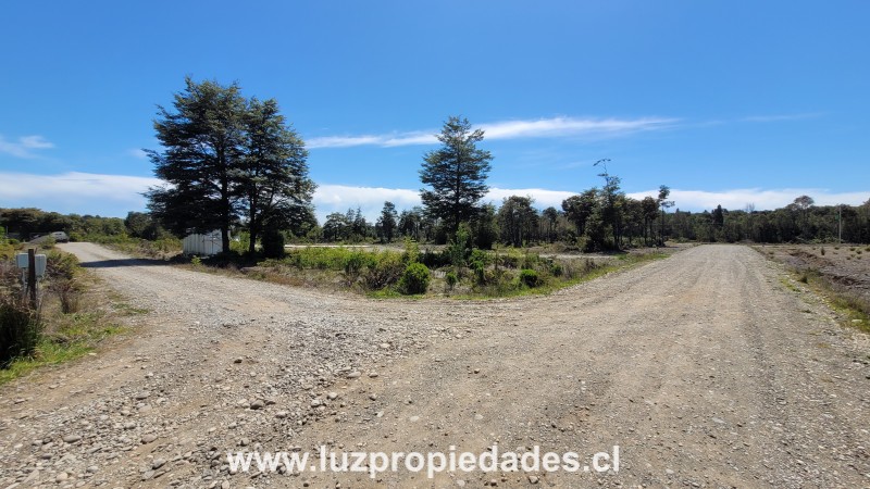 Los C&ouml;igues N&deg;132, Gran Lagunitas - Luz Propiedades