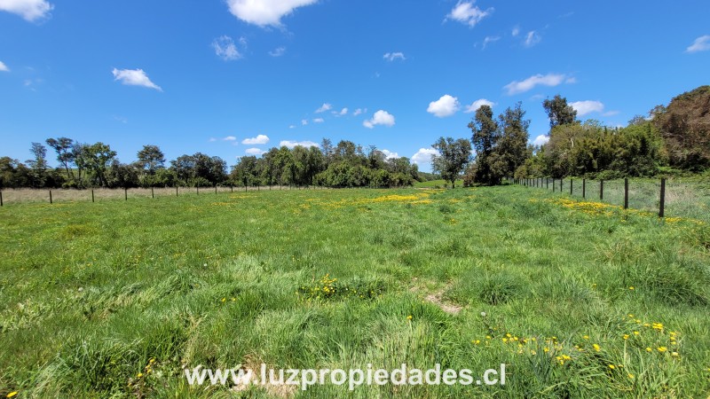 Lote N°33, Sector Paraguay Grande - Luz Propiedades