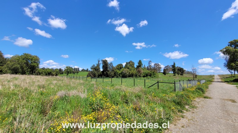 Lote N°33, Sector Paraguay Grande - Luz Propiedades