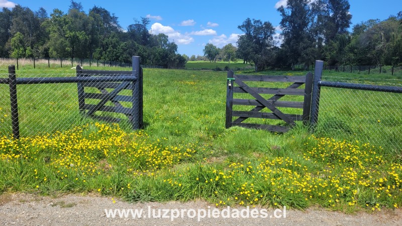 Lote N°33, Sector Paraguay Grande - Luz Propiedades
