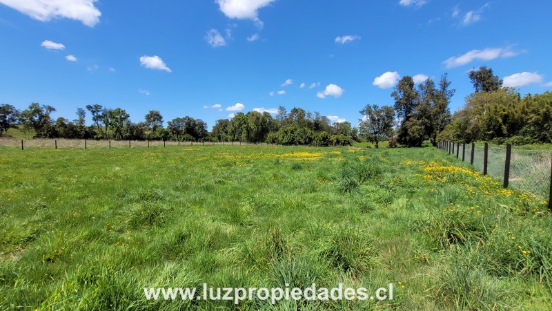 Lote N°33, Sector Paraguay Grande - Luz Propiedades
