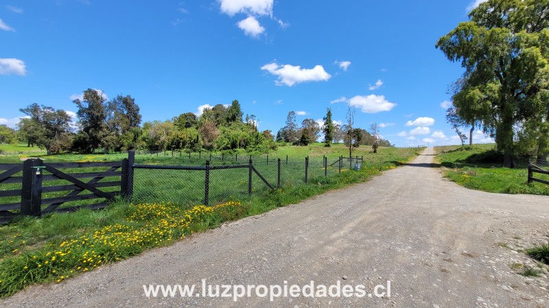 Lote N°33, Sector Paraguay Grande - Luz Propiedades
