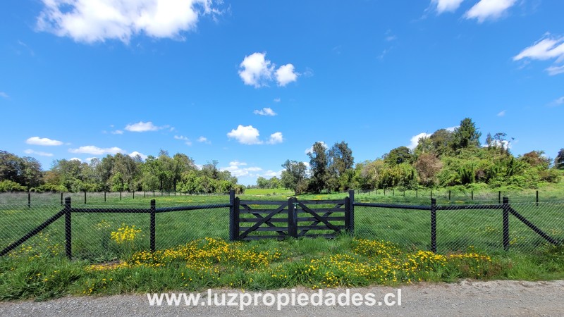 Lote N°33, Sector Paraguay Grande - Luz Propiedades