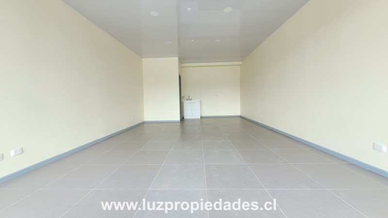 Strip Center Presidente Ibáñez N°374 - Luz Propiedades