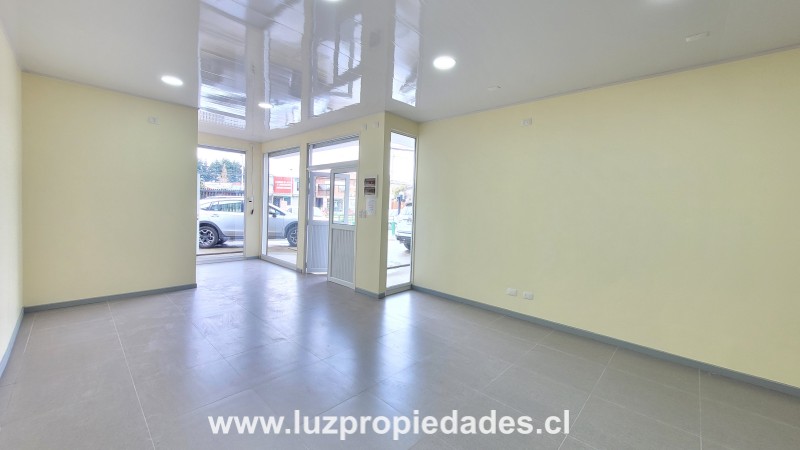 Strip Center Presidente Ibáñez N°374 - Luz Propiedades