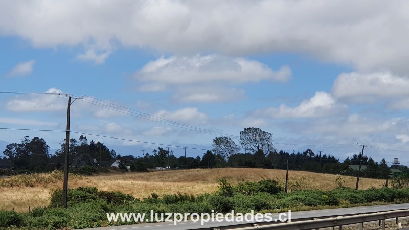 Línea Vieja S/N, entre entrada Norte y Sur - Luz Propiedades