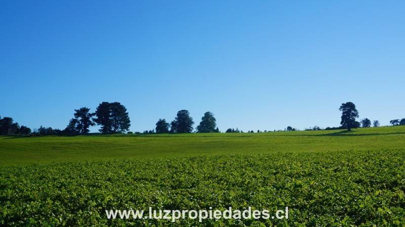 Línea Nueva, Parcelación Los Laureles del Maullín, Parcela B9 - Luz Propiedades