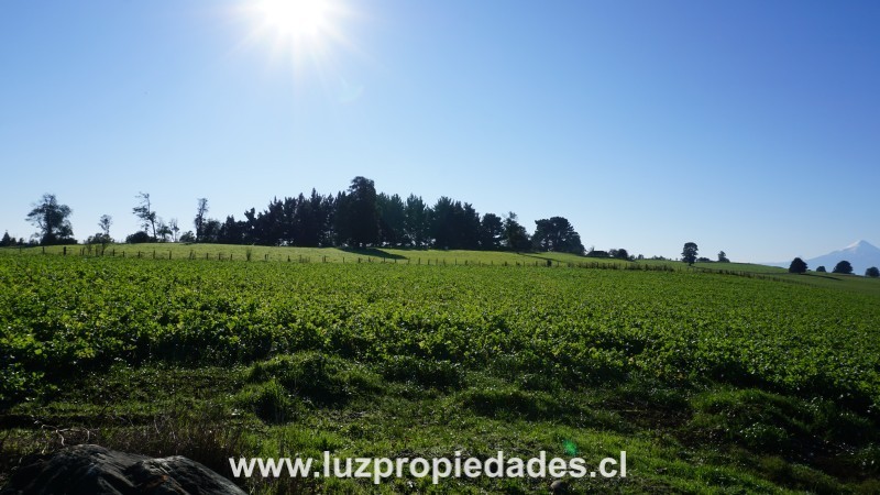 Línea Nueva, Parcelación Los Laureles del Maullín, Parcela B9 - Luz Propiedades