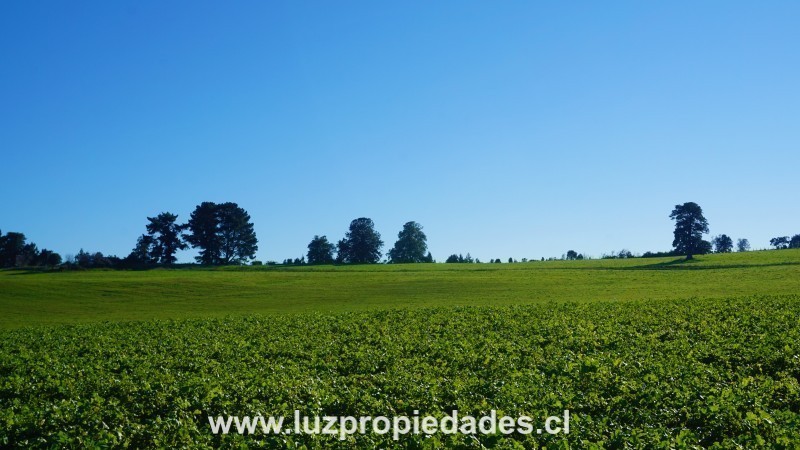 Línea Nueva, Parcelación Los Laureles del Maullín - Luz Propiedades