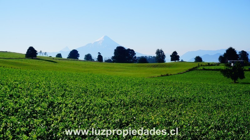 Línea Nueva, Parcelación Los Laureles del Maullín - Luz Propiedades