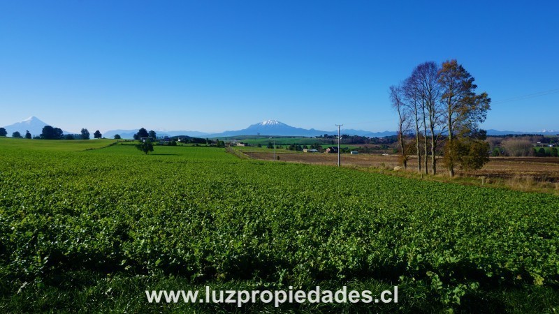 Línea Nueva, Parcelación Los Laureles del Maullín - Luz Propiedades