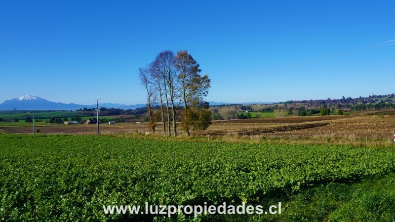 Línea Nueva, Parcelación Los Laureles del Maullín - Luz Propiedades