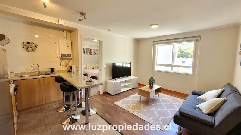 Bellavista N&deg;2163,  T-8, Depto 504, Condominio Plaza Pelluco - Luz Propiedades