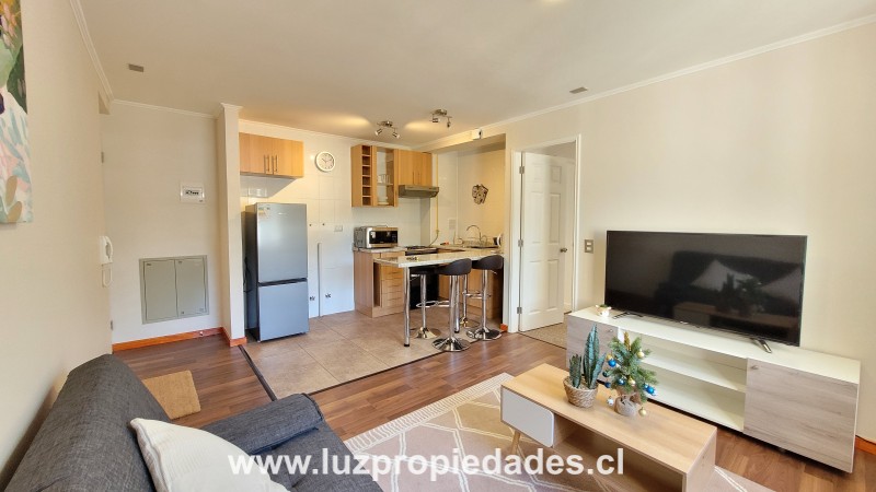 Bellavista N&deg;2163,  T-8, Depto 504, Condominio Plaza Pelluco - Luz Propiedades