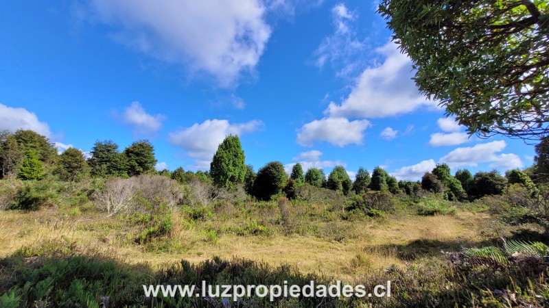 Camino Calbuco, sector El Tamboil - Luz Propiedades