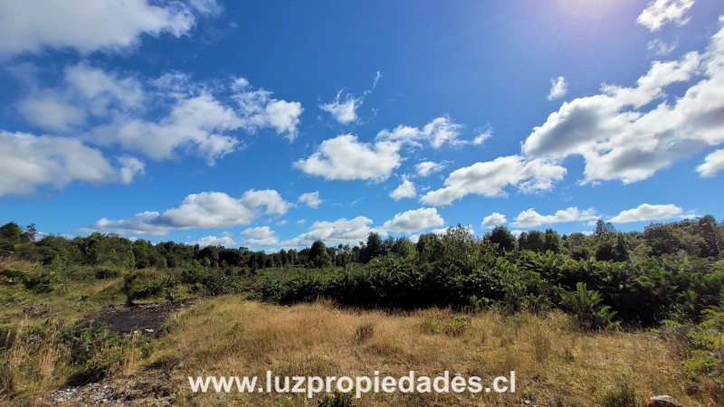 Camino Calbuco, sector El Tamboil - Luz Propiedades