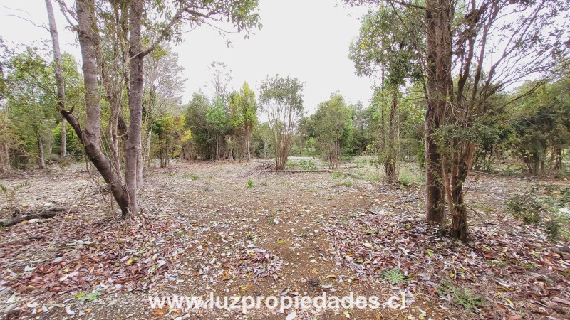 Camino Chaqueihua, Hacienda Trapen, Parcela N°115, Sector Las Quemas de Trapen - Luz Propiedades