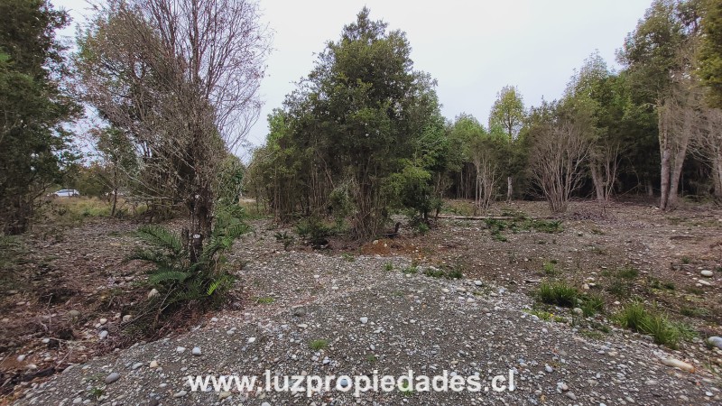 Camino Chaqueihua, Hacienda Trapen, Parcela N°115, Sector Las Quemas de Trapen - Luz Propiedades