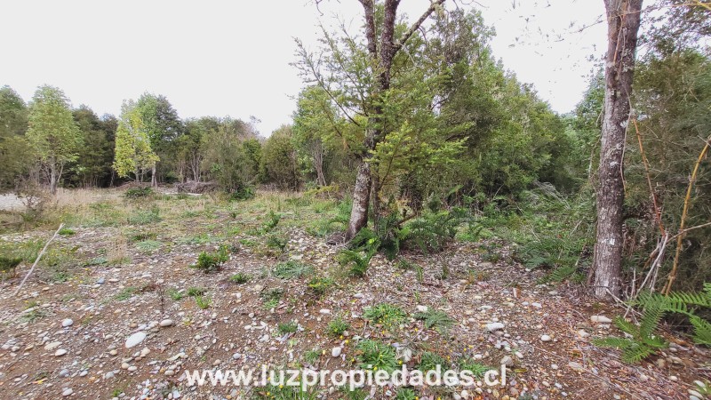 Camino Chaqueihua, Hacienda Trapen, Parcela N°115, Sector Las Quemas de Trapen - Luz Propiedades