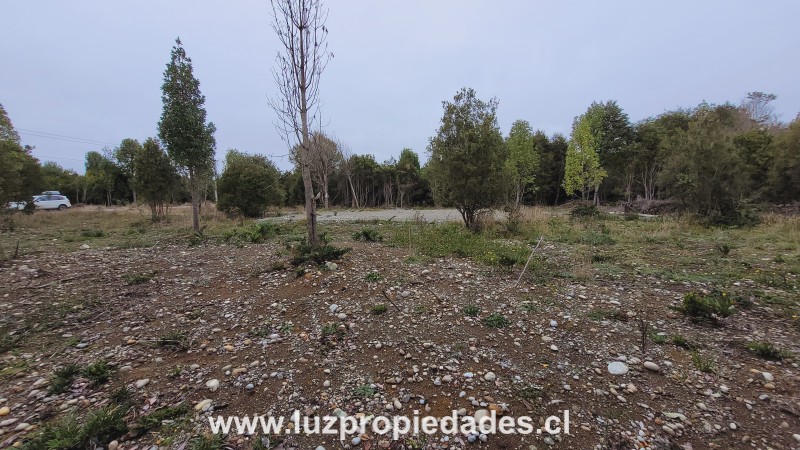 Camino Chaqueihua, Hacienda Trapen, Parcela N°115, Sector Las Quemas de Trapen - Luz Propiedades