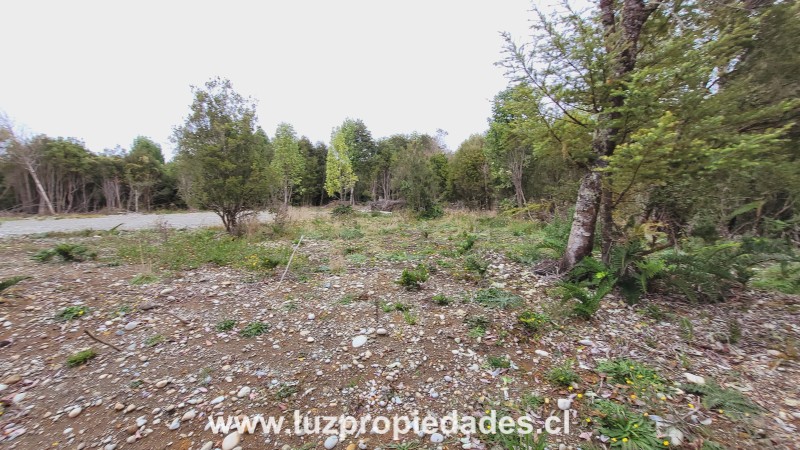 Camino Chaqueihua, Hacienda Trapen, Parcela N°115, Sector Las Quemas de Trapen - Luz Propiedades