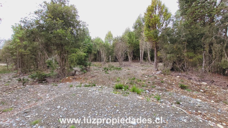 Camino Chaqueihua, Hacienda Trapen, Parcela N°115, Sector Las Quemas de Trapen - Luz Propiedades