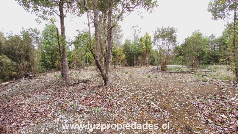 Camino Chaqueihua, Hacienda Trapen, Parcela N°115, Sector Las Quemas de Trapen - Luz Propiedades