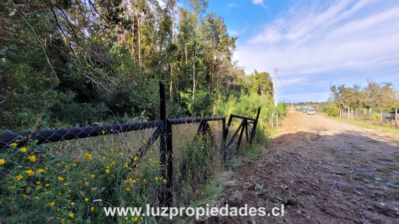 Club de Campo Residencial, lote 3, Parcela 166, Puerto Varas - Luz Propiedades