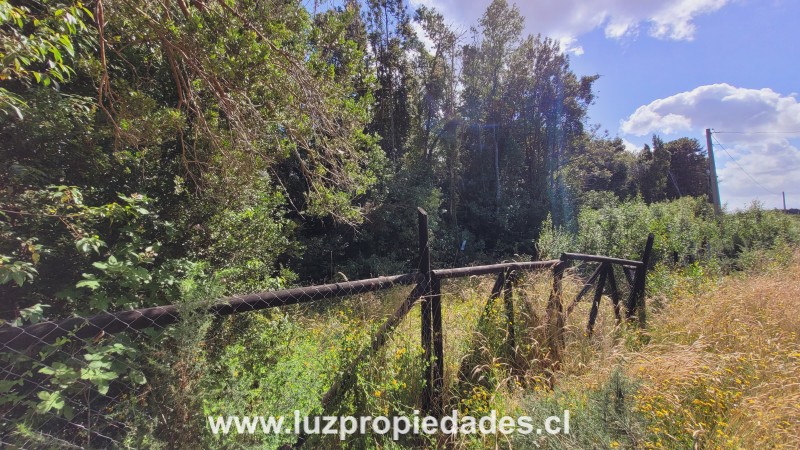 Club de Campo Residencial, lote 3, Parcela 166, Puerto Varas - Luz Propiedades