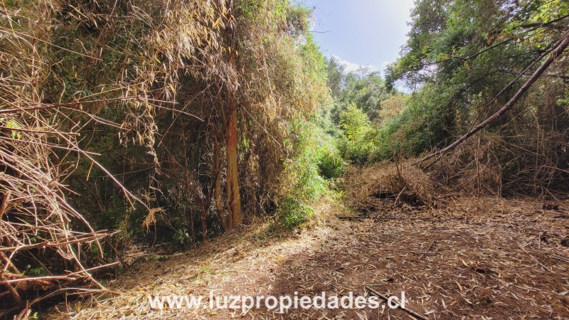 Club de Campo Residencial, lote 3, Parcela 166, Puerto Varas - Luz Propiedades