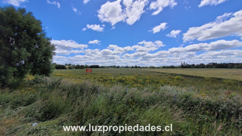 Sector las Quemas Lote N°169 - Luz Propiedades